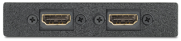 EXTRON Two HDMI Female to Female on 10 Dos hdmi hembra a hembra con latiguillo de 25,4 cm